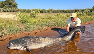 gros silure mimizan pêche