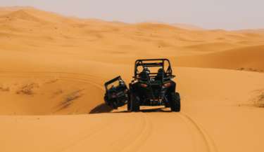 Actividad en el desierto