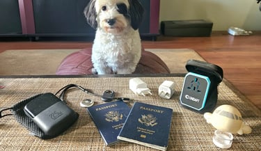 Travel tech items on table with passports and toy airplane, travel dog inspecting gear