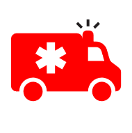 Local Delivery and Support