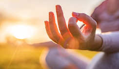a person holding a small piece of paper in their hands