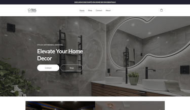 Modern e-commerce website for Mauritian retailer