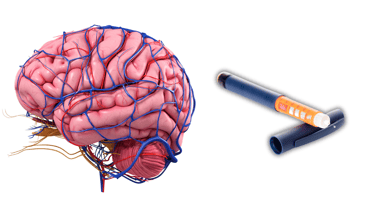 Brain on the left and diabetes medication pen on the right.