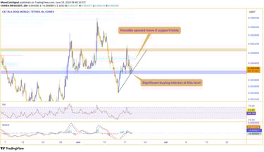 MEW price chart highlighting the significant support level at $0.0040, indicating potential upward m