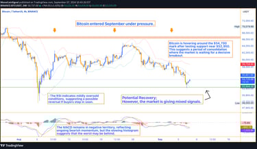 Bitcoin price chart in September 2024 shows a slight rebound around $54,700, with support at $53,000