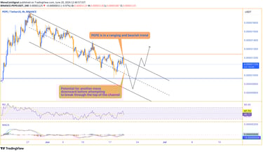 PEPE price chart showing a bearish trend within a descending channel, with potential for another dow