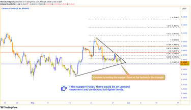 These descriptions clearly convey the critical nature of the current support level for Cardano and t