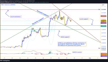 STMX price chart showing key resistance levels at $0.010014 and $0.010995, with support levels at $0