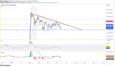 Shiba Inu (SHIB) daily chart showing positive divergence, indicating potential for significant growt