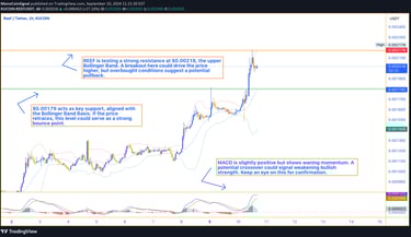 REEF price chart showing a rally to $0.00203, testing resistance at $0.00218. Overbought signals and
