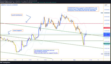 1000SATS price chart showing local support at $0.0001673 and current level at $0.000225. Parabolic S