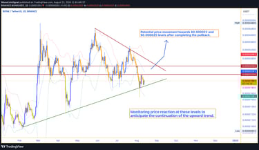 BONK/USDT chart showing a trading range with potential for a pullback completion, targeting $0.00002