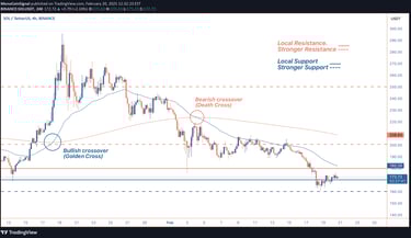 Solana trades near $172.24, forming a bullish flag with breakout potential if $180-$182 is cleared. 