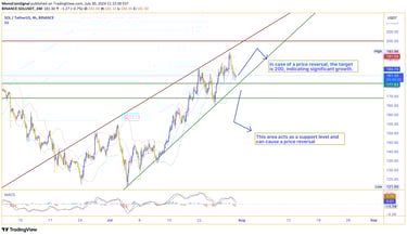 Solana 4-hour chart showing significant support levels between $169 and $177, with a potential price