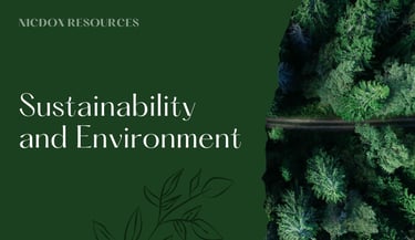 a road with trees and a river in the background