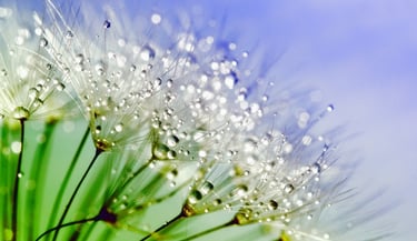 thérapie bien-être