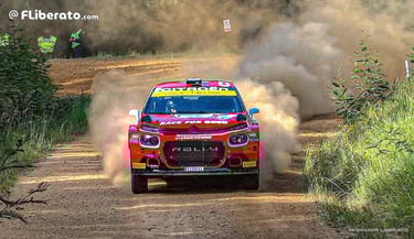 Vodafone Rally de Portugal