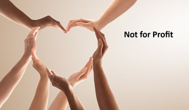 Not-for-Profit Industry expertise