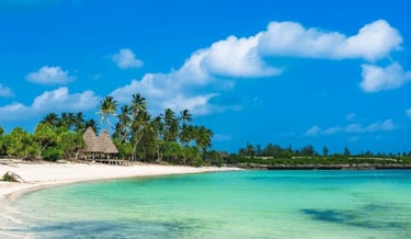 Scenic beach landscape in Zanzibar with soft sand, tropical trees, and a beachfront bungalow surrounded by ocean views