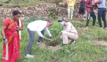 Top 10 tree plantation agency in Uttarakhand
