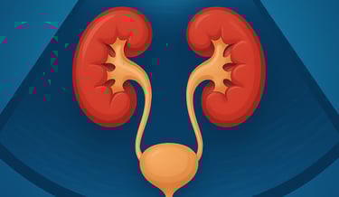 Ecografia renale e vie urinarie Qualiano - Esame reni e vescica studio Dott. Picascia