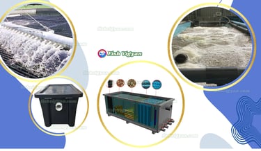 Filters and Clarifiers