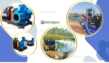 Water Pumps