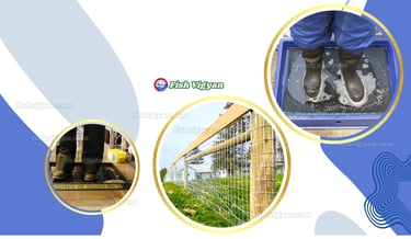  Biosecurity Tools in fish
