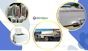 Transport Equipment