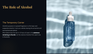 "Infographic explaining that alcohol is a temporary carrier in perfume that evaporates quickly, leaving the oils behind."