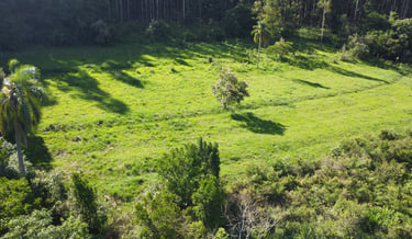 compensação ambiental