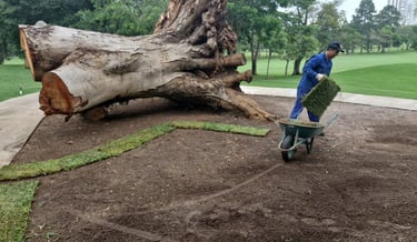 plano de manejo florestal