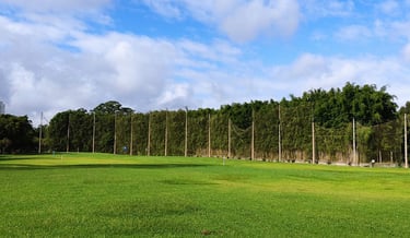 consultoria ambiental