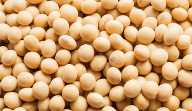 Soybeans rich in protein and heart-healthy compounds.