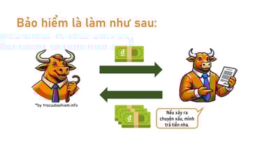 Bảo Hiểm Nhân Thọ Là Gì? Vì Sao Cần Mua Bảo Hiểm Nhân Thọ? Tracuubaohiem