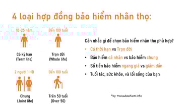 Các loại bảo hiểm nhân thọ và chọn loại phù hợp với mình