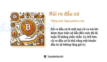 Rủi ro đầu cơ là gì? Định nghĩa rủi ro đầu cơ