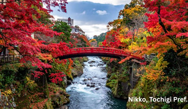 Nikko