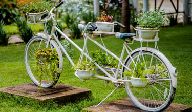 Old bicycle used as a plant stand. Budget-friendly gardening