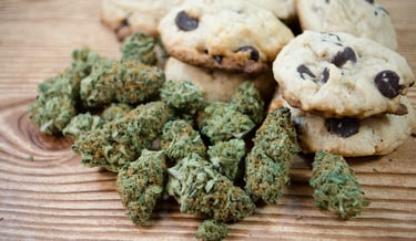 Freshly baked chocolate chip cannabis cookies alongside dried marijuana flower buds on a wooden table.