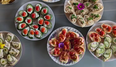 Vegan borrel Creative Garden 2024