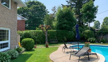 hedge, shrubs all neatly trimmed