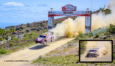 WRC Rally de Portugal 2023 Arganil Salto PPD