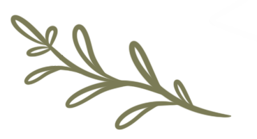 a branch of olives with leaves