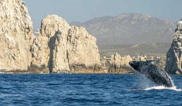 Arco de Cabo San Lucas com uma baleia saltando ao fundo