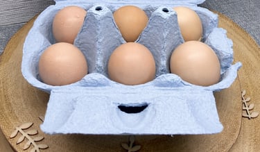 a box of hatching eggs with a crochet chicken and a crochet owl