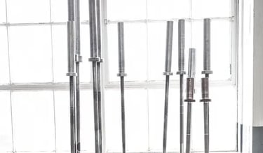 barbell training vs machine dumbells