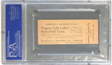 Niagara Falls Basketball Champions Canada