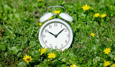 Gozdni vrtec - delovni čas