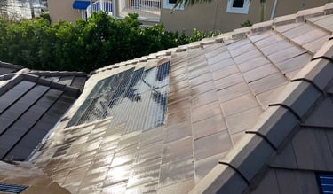 roof soft washing after image psi power washing 